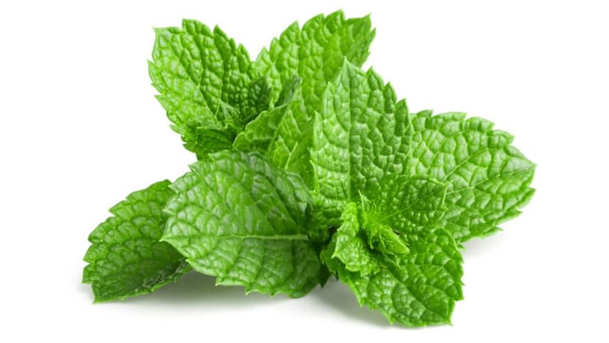 Menthol dans la valeur zxcvbnmq